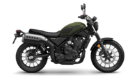 CL500 Vorjahresmodell Matt Laurel Green Metallic